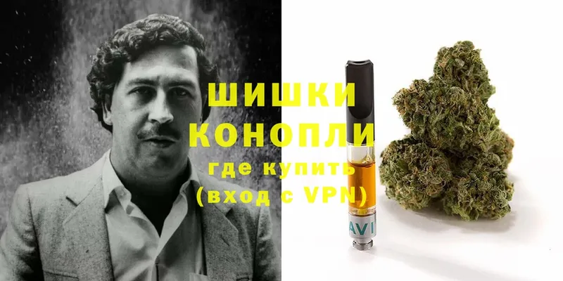 Каннабис Amnesia  купить   Дивногорск 